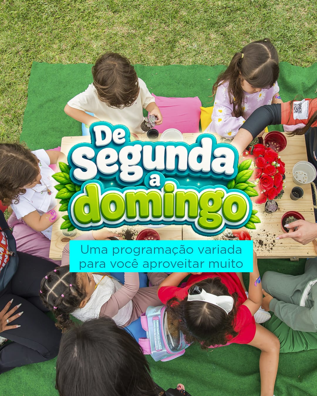 De segunda a domingo — programação variada