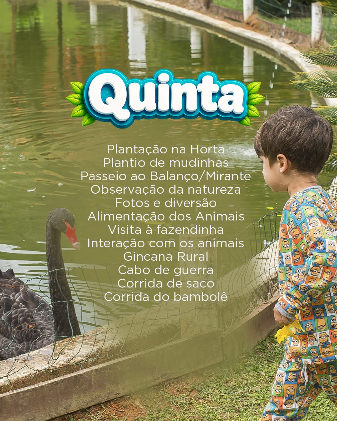 Quinta — programação